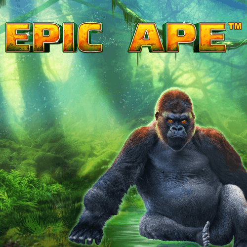 playtech image